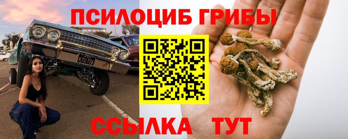 Галлюциногенные грибы Psilocybe  Галлюциногенные грибы MAGIC MUSHROOMS  Вход с VPN  Слободской 